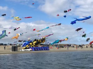 IMG-20170416-WA0012